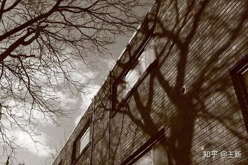 20部文学著作开场白 提升你的艺考写作能力